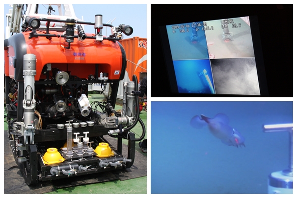 심해 로봇 ‘해미래’를 이용한 동해 심해저 탐사의 사진