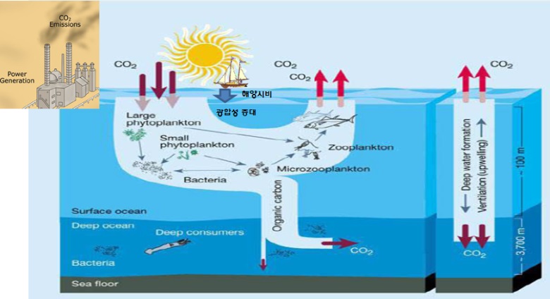 그림 2. 해양에서의 이산화탄소의 입력 및 제거 기작 (CEFAS, 2013)