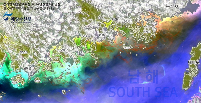 그림 2. 2014년 9월 4일 GOCI 영상. 붉은 색 띠가 고농도 식물성플랑크톤(적조) 지역을 나타냄