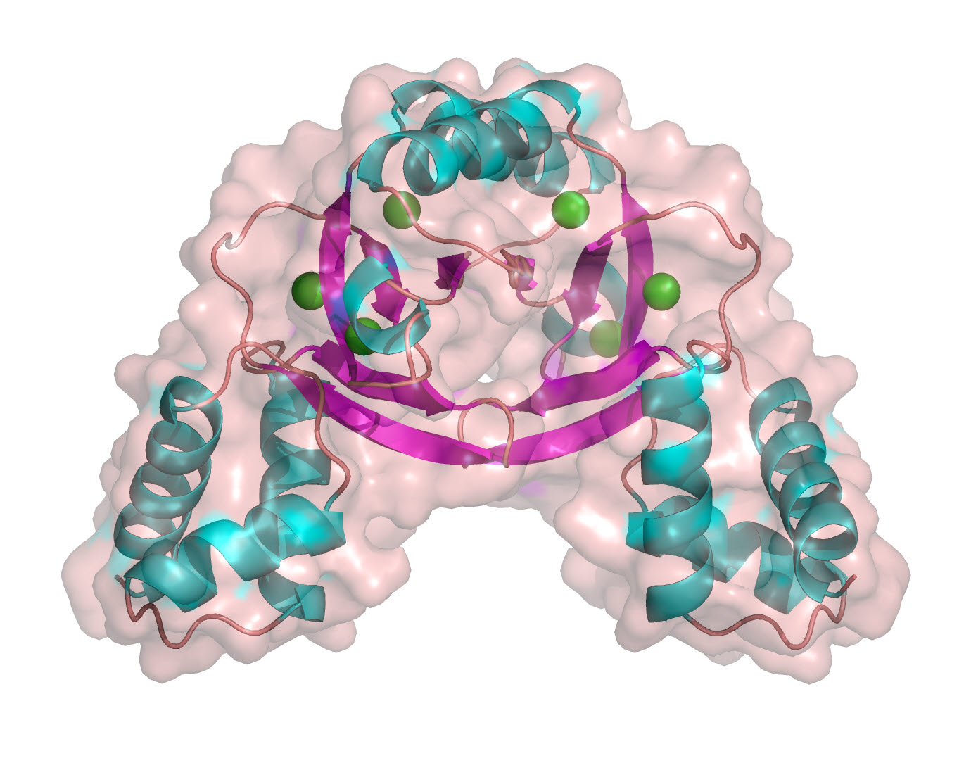  Three dimensional structure of a Zur protein