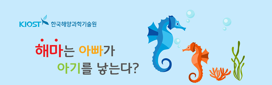 KIOST 한국해양과학기술원 해마는 아빠가 아기를 낳는다?