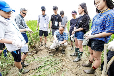 사진 18. 채집한 갯끈풀의 뿌리를 확인하고 연구원의 설명을 듣는 참가자들