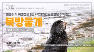 
						3월 울릉도·독도 해양보호생물, 북방물개
						
						