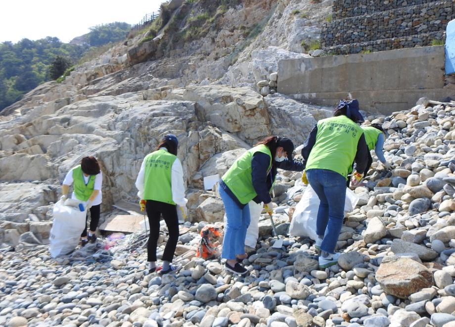 Gamji beach coast purification activity in Youngdo_image1