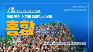 
						7월 울릉도·독도 이달의 수산물, 홍합
						
						