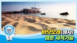 
						바닷모래(해사) 염분 세척기술
						
						