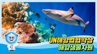 
						UN해양법협약상 해양생물자원
						
						