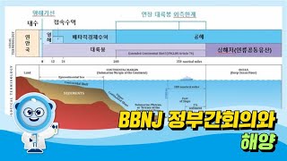 
						BBNJ 정부간회의와 해양
						
						
