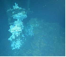 심해의 보고 화학합성생태계의 사진