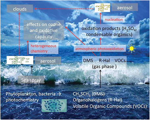 그림 3. 대기에 영향을 주는 해양기원 미세먼지 전구체(Carpenter et al., 2012) 