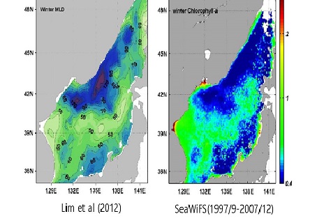 그림 1. 겨울 혼합층깊이(왼쪽)와 클로로필(오른쪽) 분포 (Lim et al, 2012)