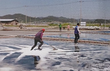 사진 2. 바닷물을 가두어 소금을 생산하는 모습(전라남도 신안)